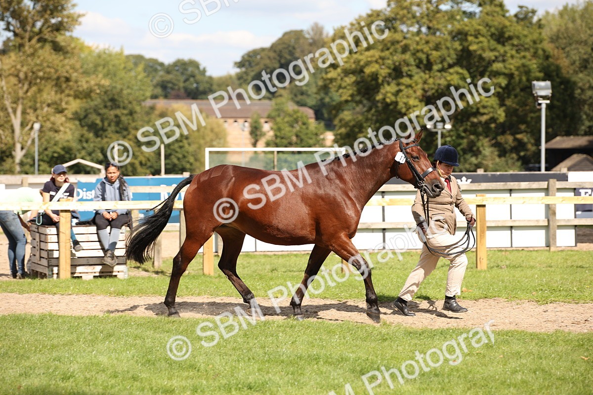 SBM_44388 - S24 - Young Veteran in hand