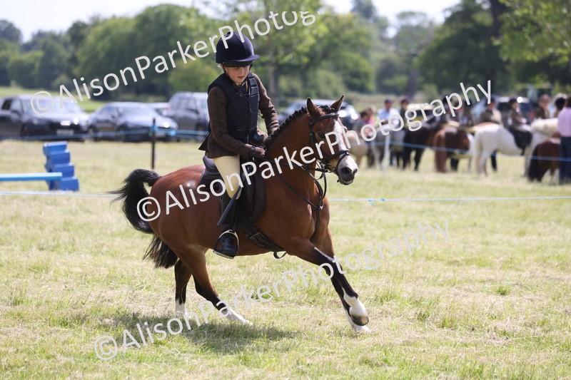 20260614-1761 - Class 21 - Novice Working Hunter Pony