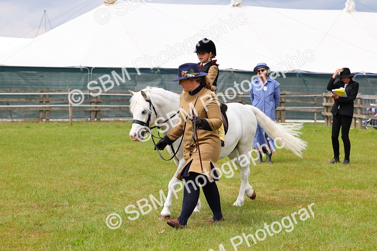 SBM_08186 - Class 42-43 - LIHS BSPS Heritage Working Sports Pony
