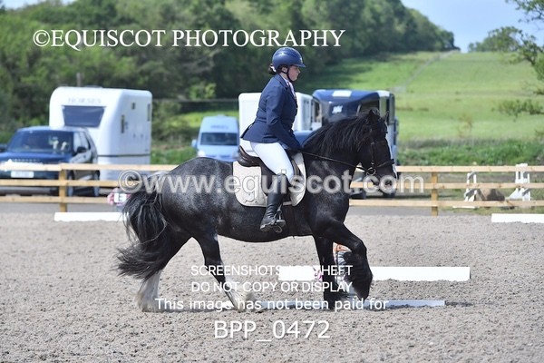 BPP_0472 - MFS NOVICE