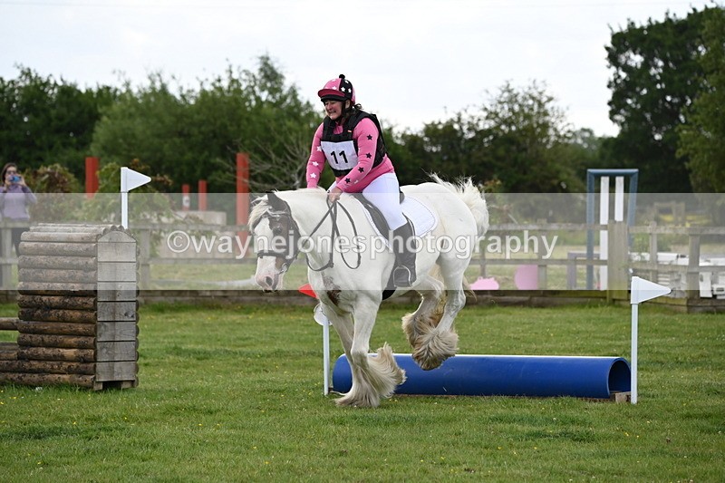 WJ6_2538 - Class 2 40cm