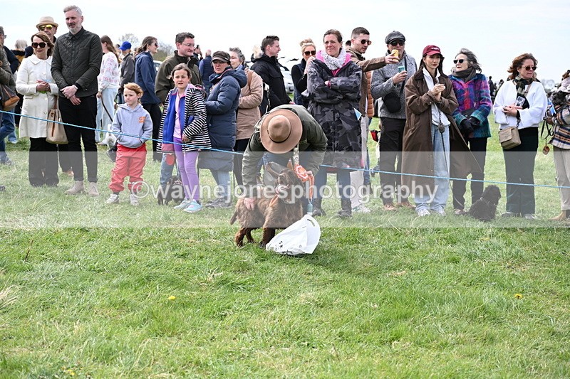 WJ6_8631 - Class 6 Best Rescue