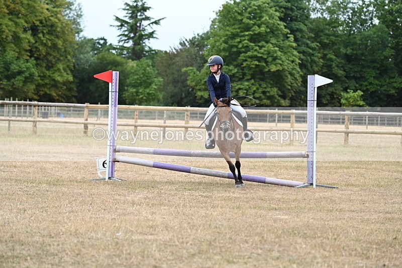 WJ6_0358 - Class 13 Novice Jumping 60cm