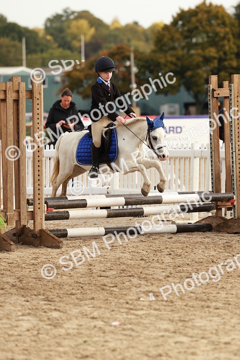 SBM_55737 - J11 - Junior Pony 50cm Championship