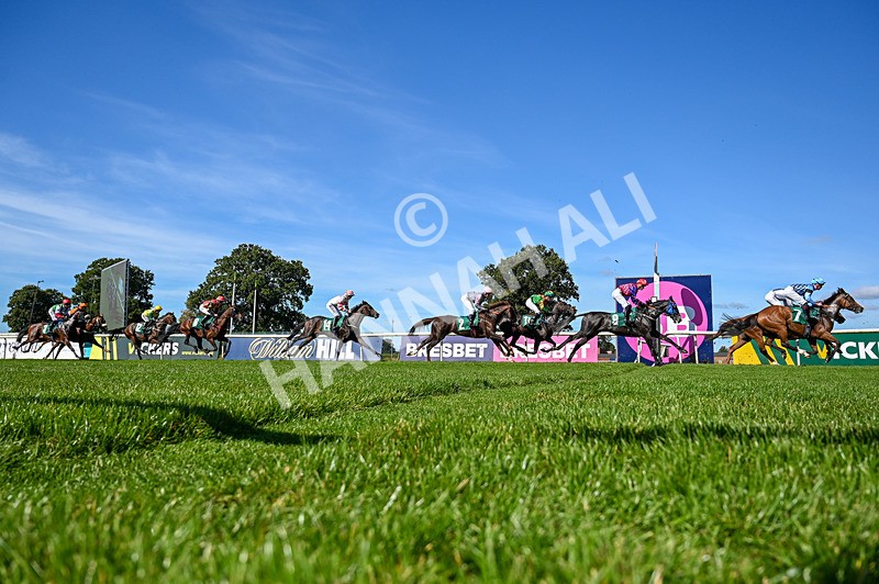 160924-Race 1-Susiesparkle-4983 - Race 1