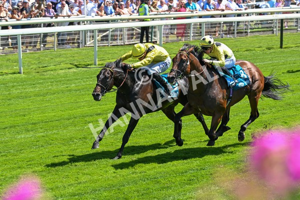 120725-Race 1-Remmooz-5510 - Race 1 2.00pm John Smith's Racing Handicap