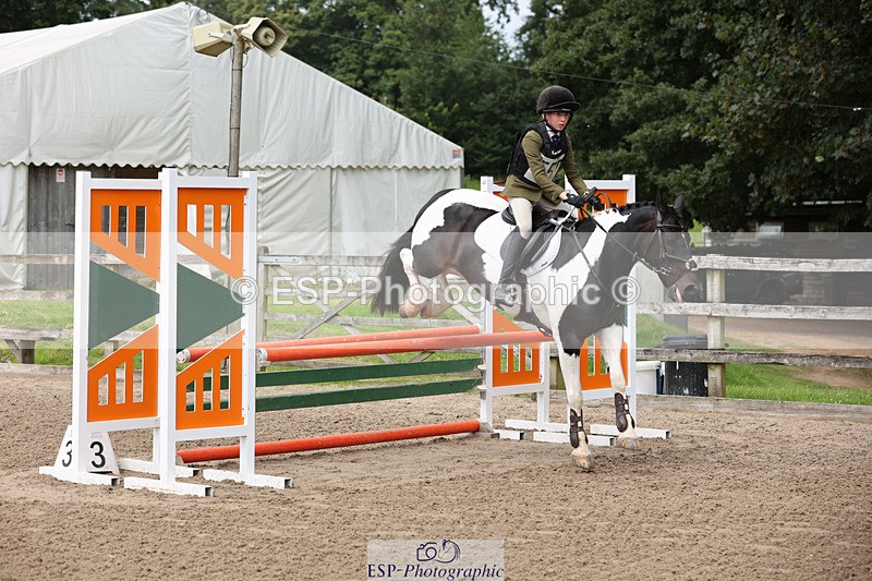 240804-133249-14301 - 555-Jack_Wish-WESTERLAKE_BUTTONWEED