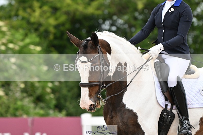 240623A-155910-19831 - Cls 54 BD Medium 73