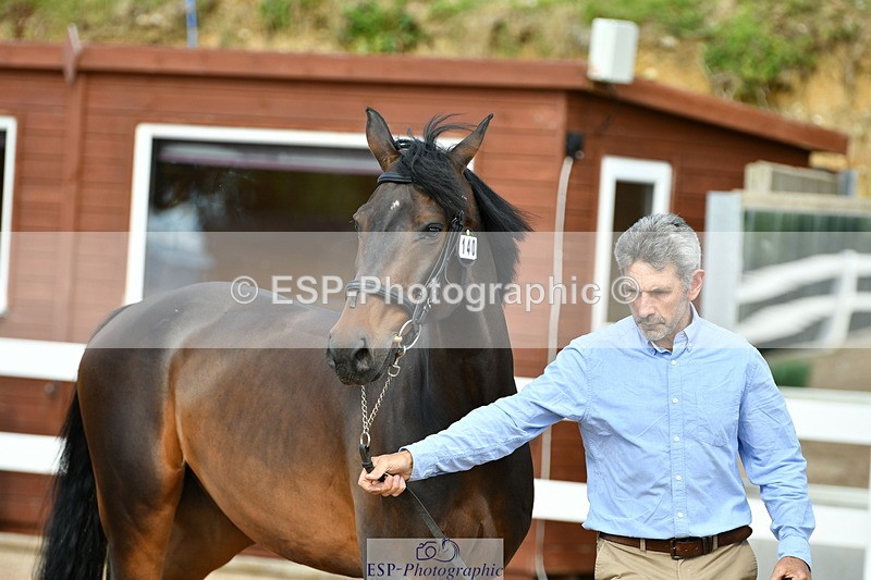 230719A-165640-01266 - Trot Up 4pm to 5pm