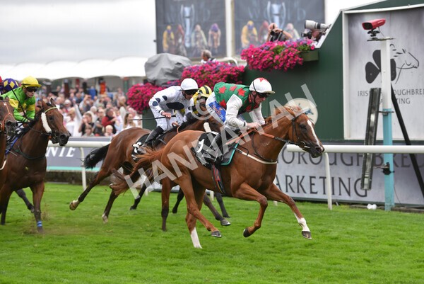 yr18082021r6-23 - Race 6 4.45pm IRE-Incentive It Pays To Buy Irish Stakes