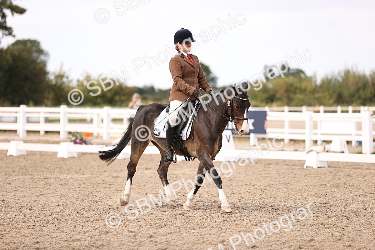 SBM_06047 - Class 37 Novice 5