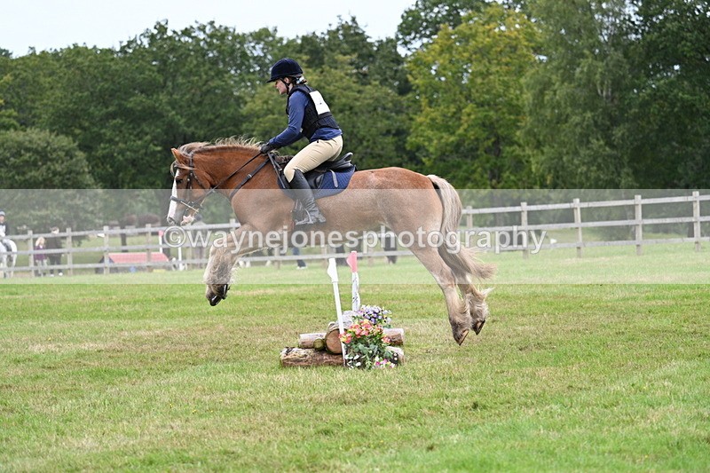 WJ7_7716 - 40cm Time 10:49 to 11:18