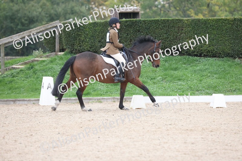 20251011-0482 - Class 4 - Novice 2