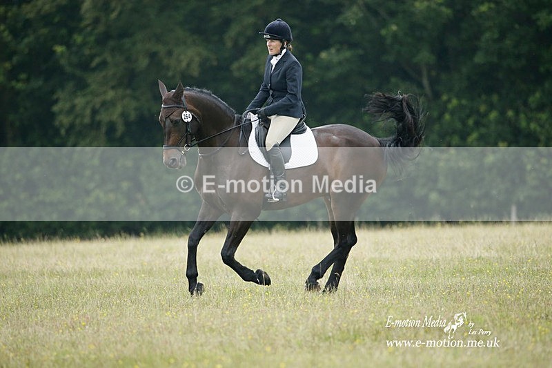 BVRC 030721 617 - Bourne Valley Riding Club Dressage 03/07/21