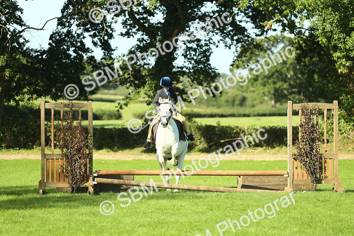 SBM_36483 - S29 - Novice & Newcomers Working Hunter Pony