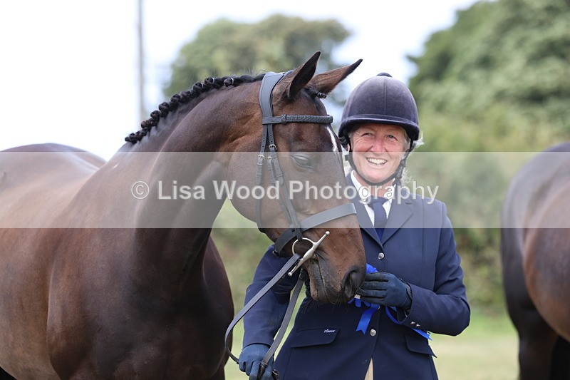 3E7A5586 - Class 20: Sports Horse In Hand