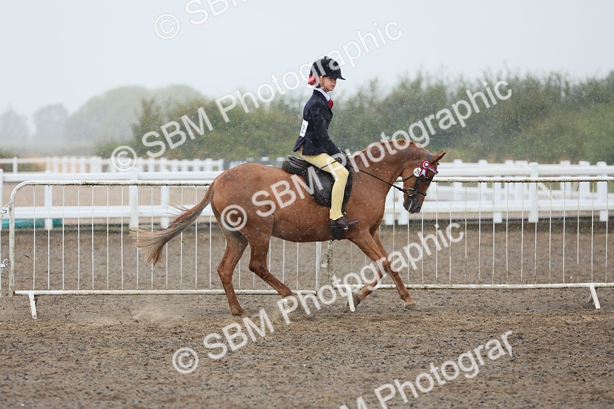 SBM_20575 - Class 804 - Ridden Veteran Pony