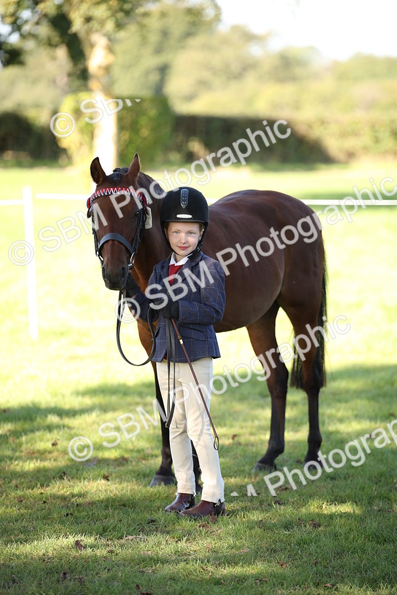 SBM_36671 - S10 - Best In Hand Horse & Pony