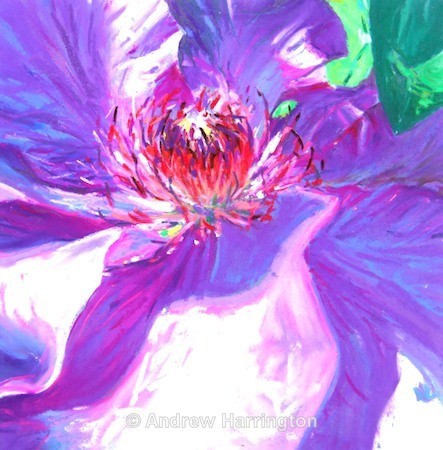 purple shadows - Paintings 7