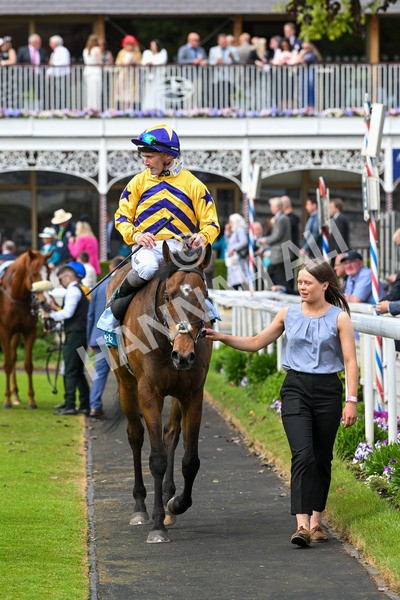 150525-American Affair-3783 - Race 1 2.10pm Lindum York Handicap