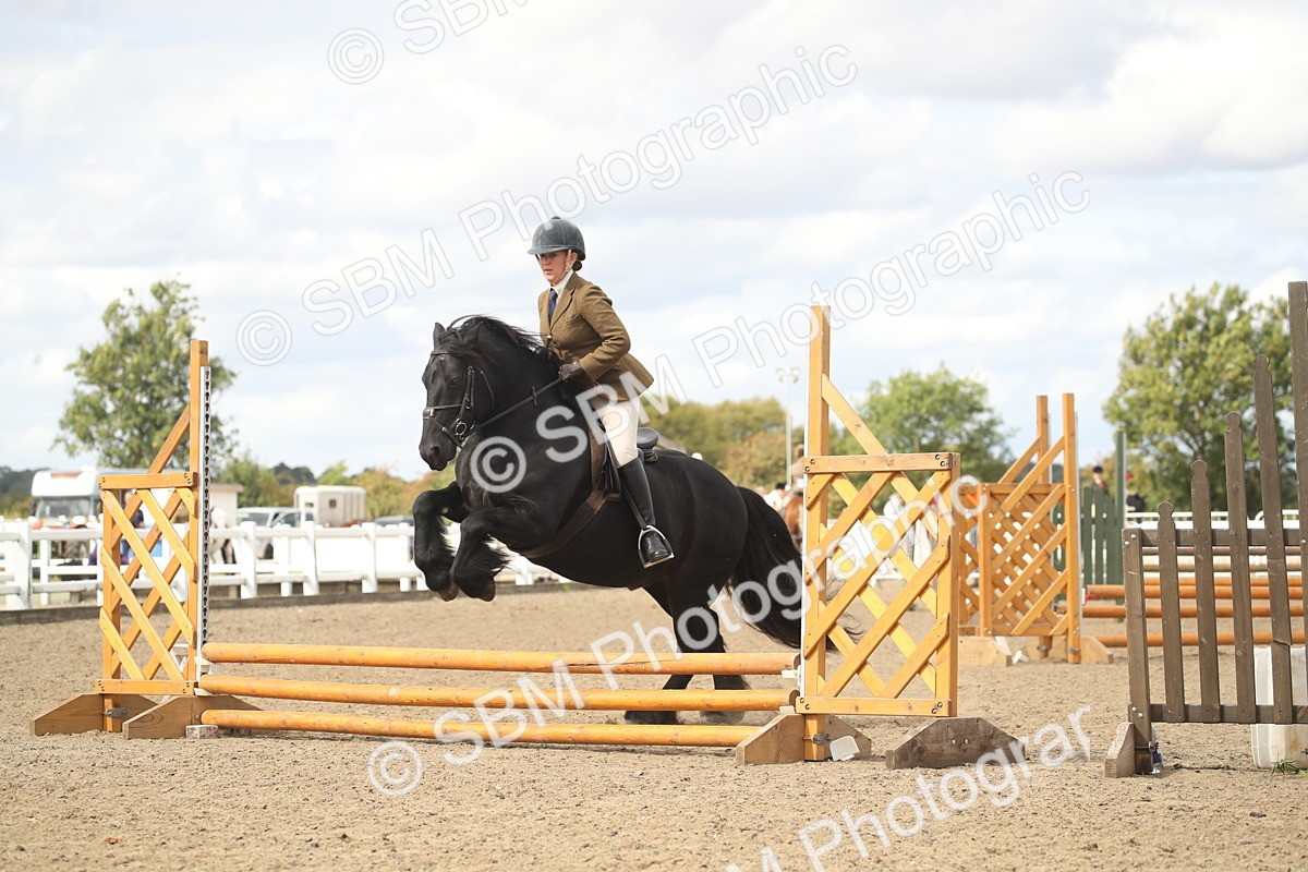 SBM_14538 - Class 505a - M&M Working Veteran - 50cm (15-19)