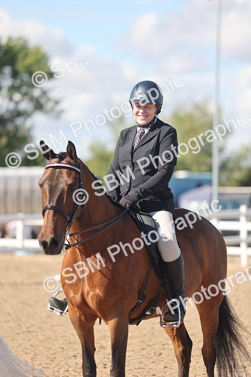 SBM_13075 - Class 305 - Ridden Foreign Breed Pure Bred