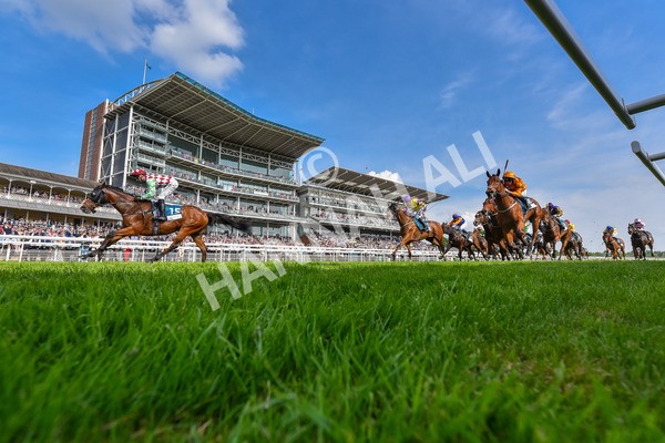 170524-Race 6-Riot-6356 - Race 6 4.45pm Yorkshire Equine Practice Handicap