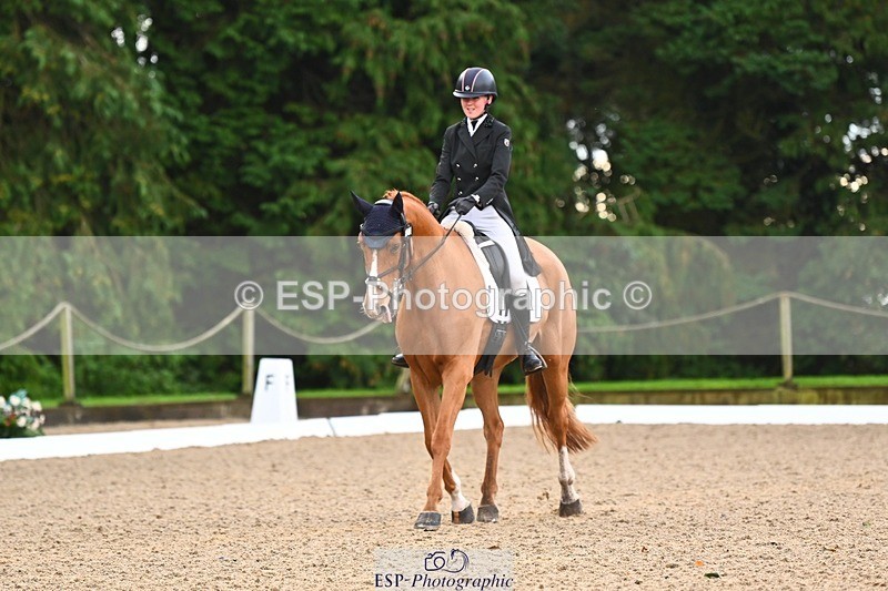 231021-091838-12498 - 223-RASCAL.ROULETTE-Charlotte.Byrnes-DR