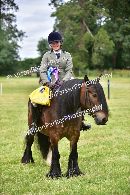 20260614-4235 - Class 17 - Best Mane and Tail
