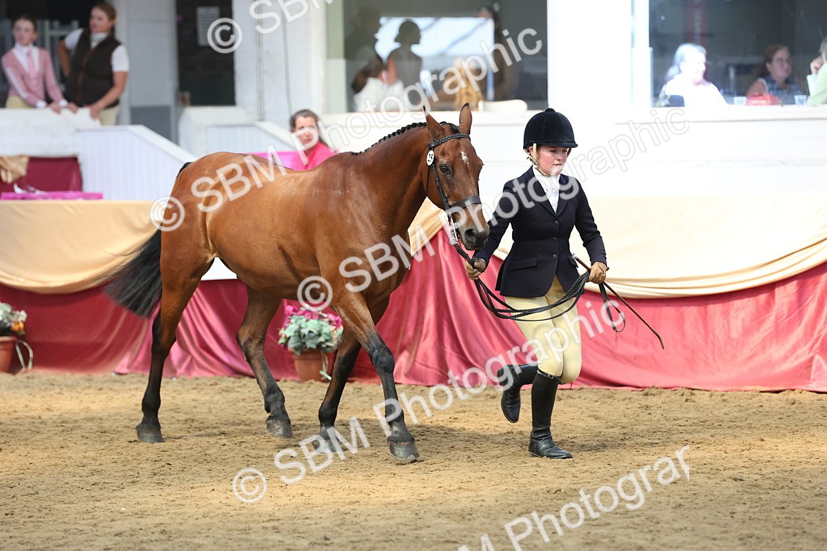 SBM_23572 - Class 904 - Supreme Final - Ridden Diamond