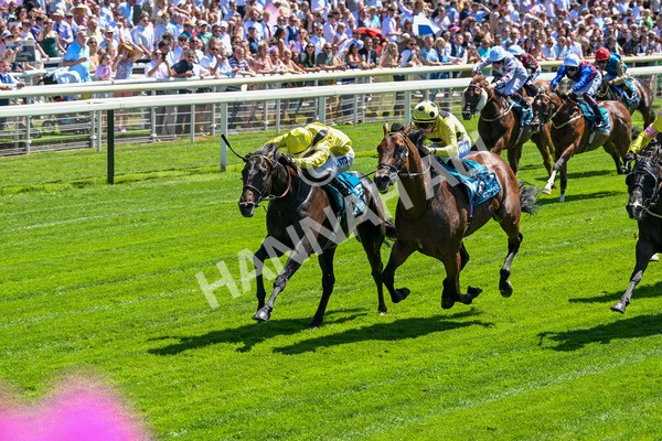 120725-Race 1-Remmooz-5503 - Race 1 2.00pm John Smith's Racing Handicap