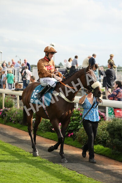 yr04092022r6-8 - Race 6 4.40pm Hanson Springs Stakes