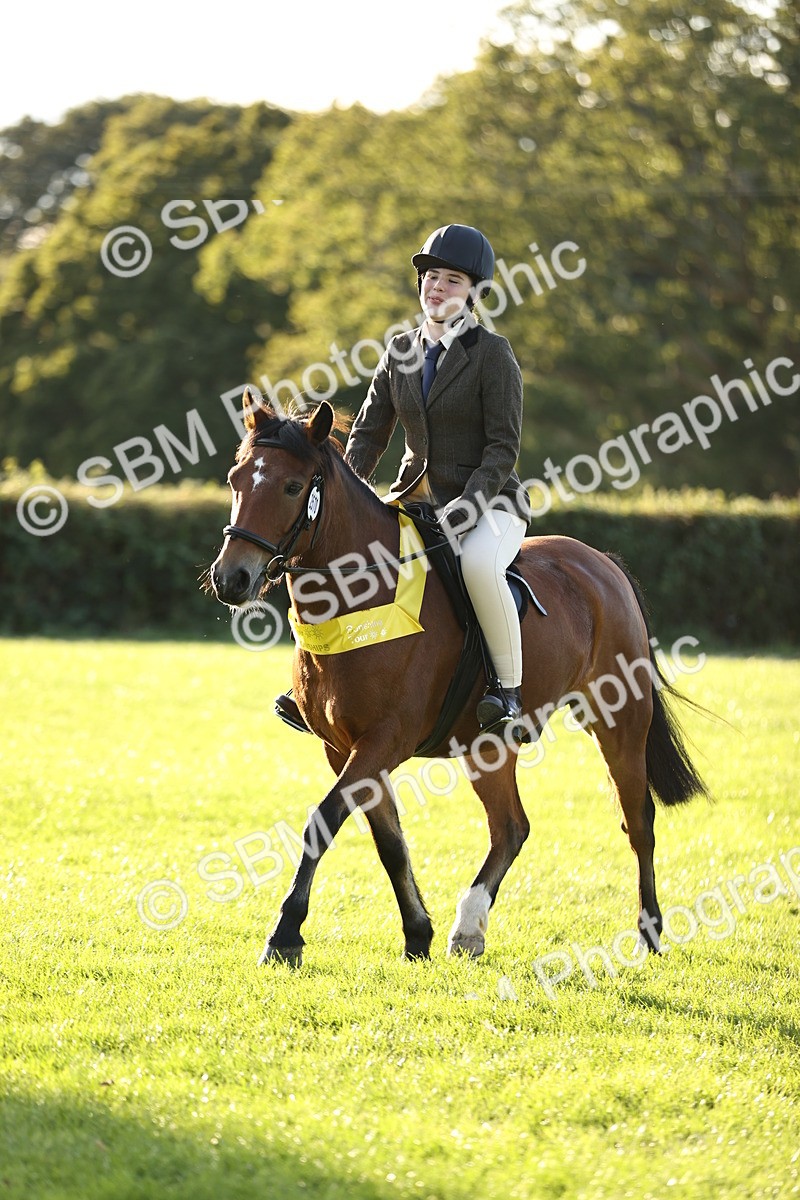 SBM_30110 - Novice & Newcomers Supreme Championship