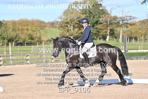 BPP_9106 - LONG ARENA