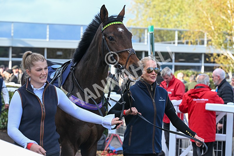 241025-Race 4-Gower Spirit-3424 - Race 4