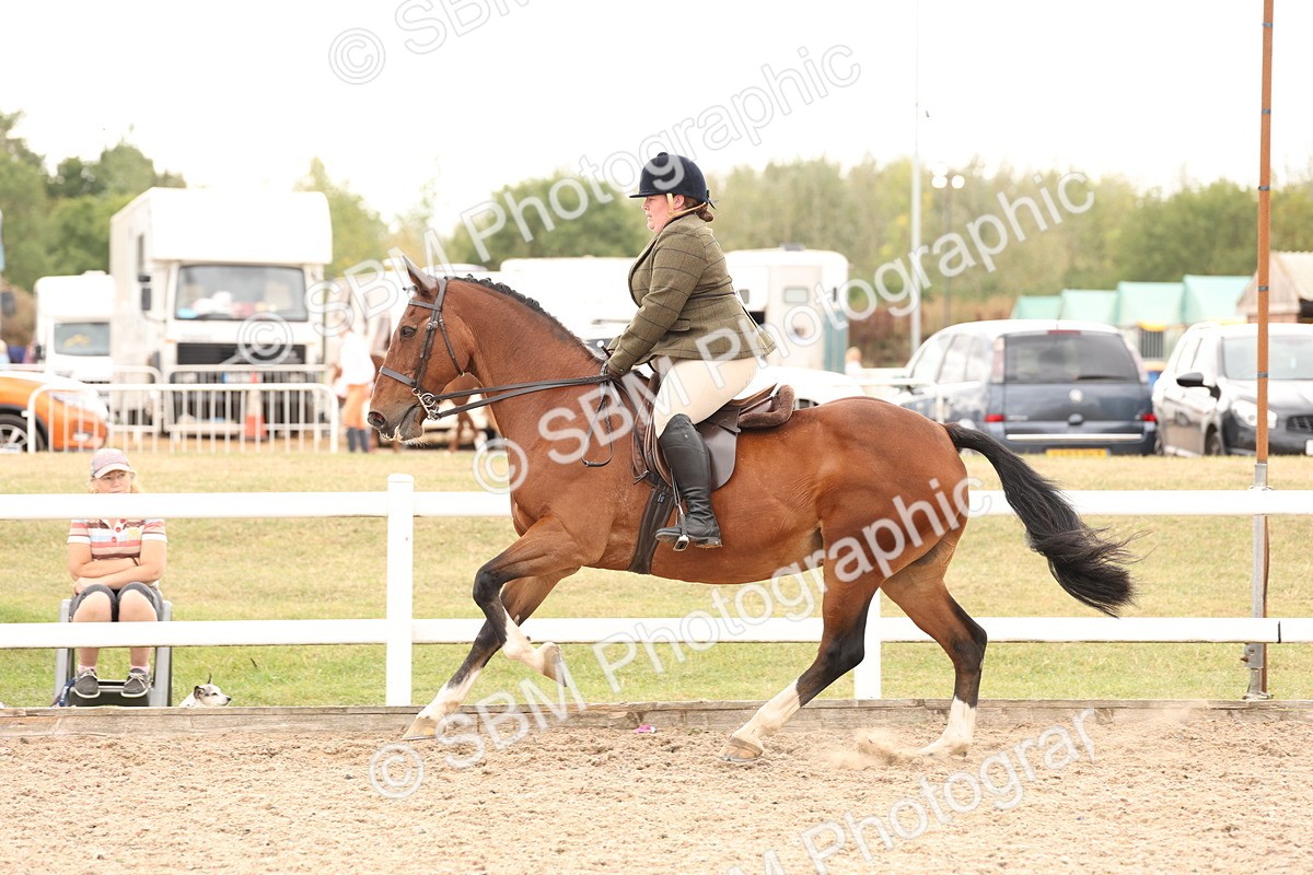 SBM_16502 - Class 212 - Ridden Hunter - Small