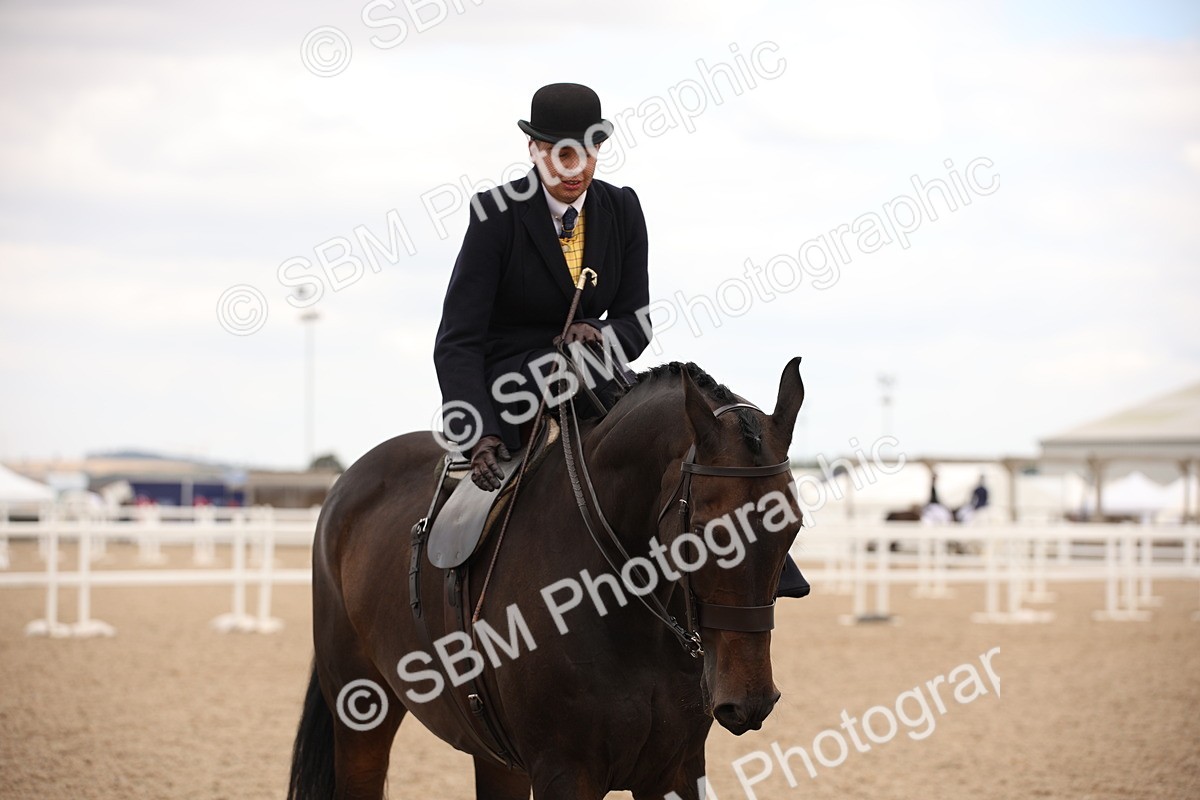 SBM_05447 - Class 22 SSA Equitation