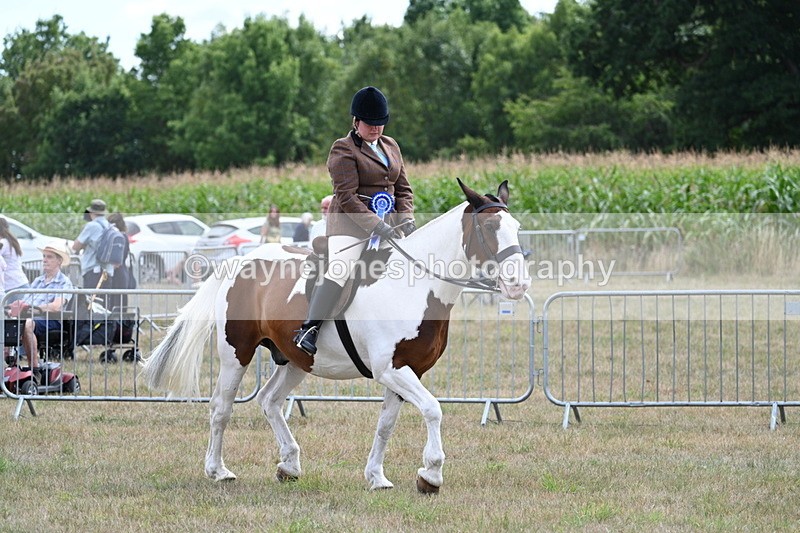 WJ7_5670 - Class 12 Ridden Cob