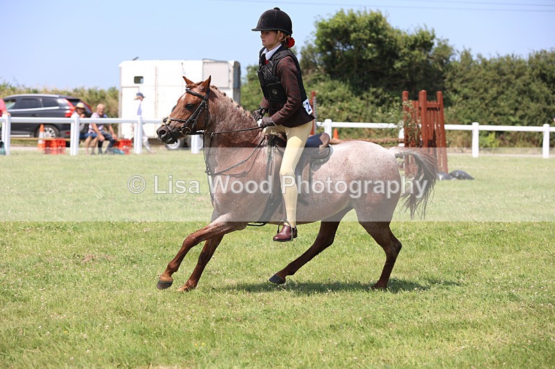 JPP_2959 - Class 22: Working Hunter 70cm