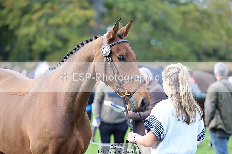 251026A-102627-22991 - E-386-Zara.Head