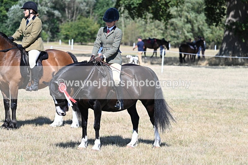 WJ7_4129 - Class 9 Mountain & Moorland Ridden