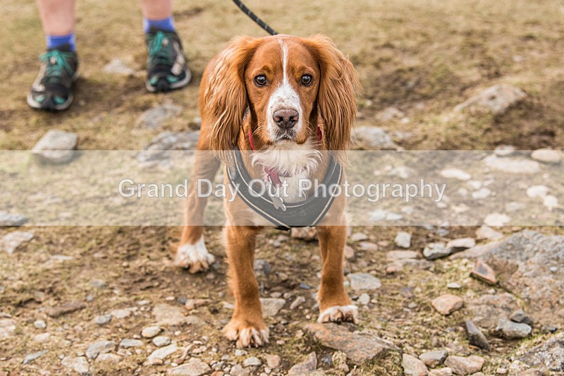 Newlands  TWA-1599 - Newlands Memorial & Teenager With Altitude Fell Races Saturday 20th April 2024