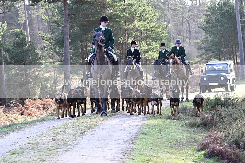 WJ7_7676 - Line 3 (no line 4 or 5)