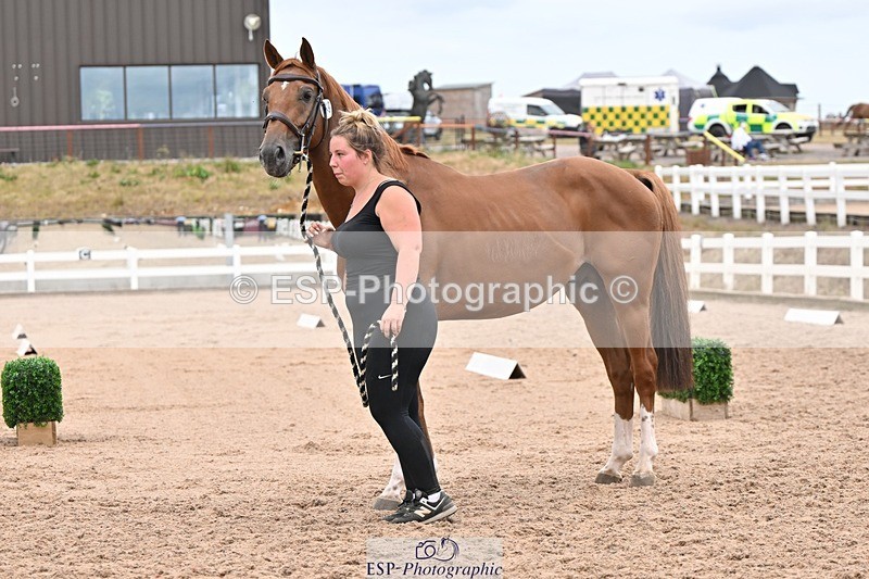 250716-160507-02402 - Trot Up 3.30 to 4.30