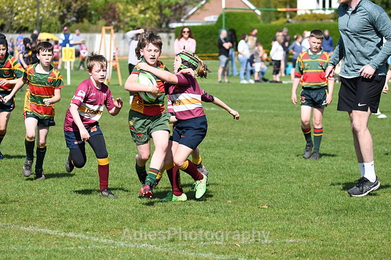  - Selby Rugby Festival 2025