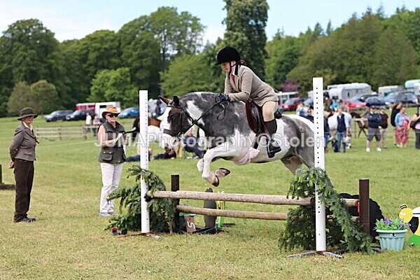 IMG_3242 - Working Hunter
