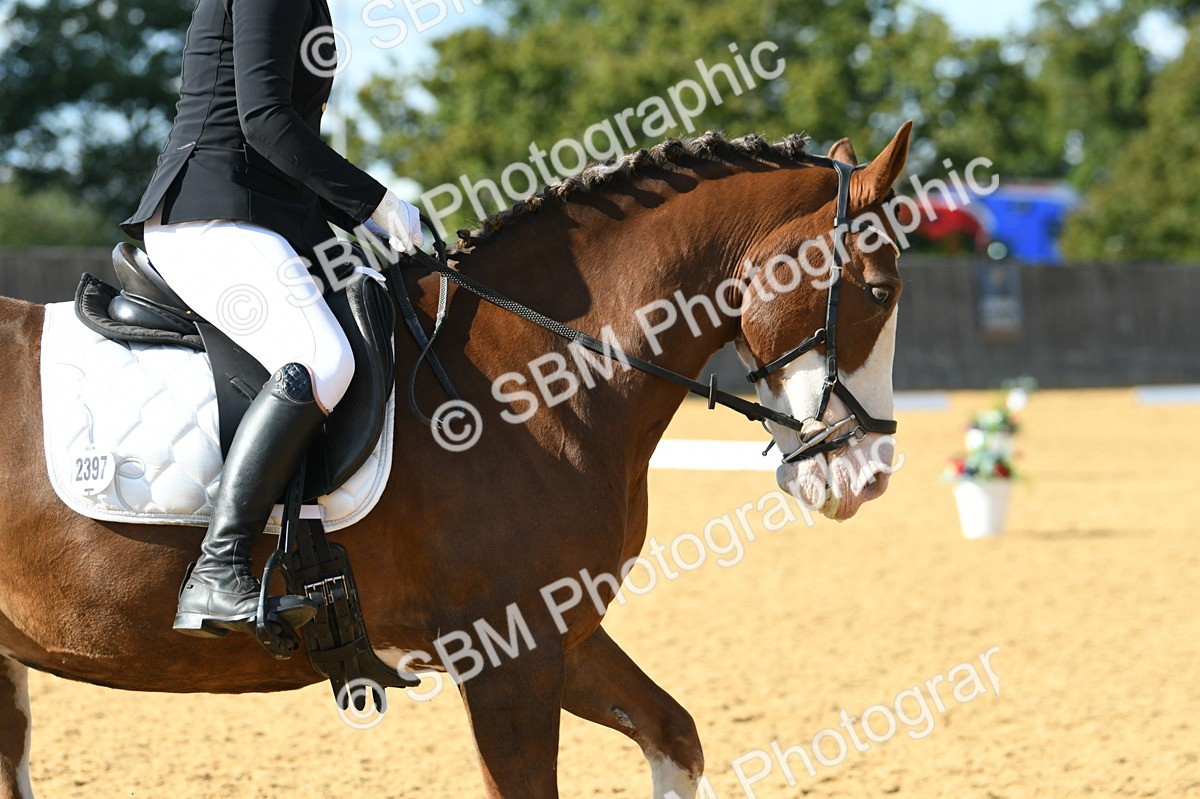 SBM_27117 - D16 - Small Tour Championship - Novice 28