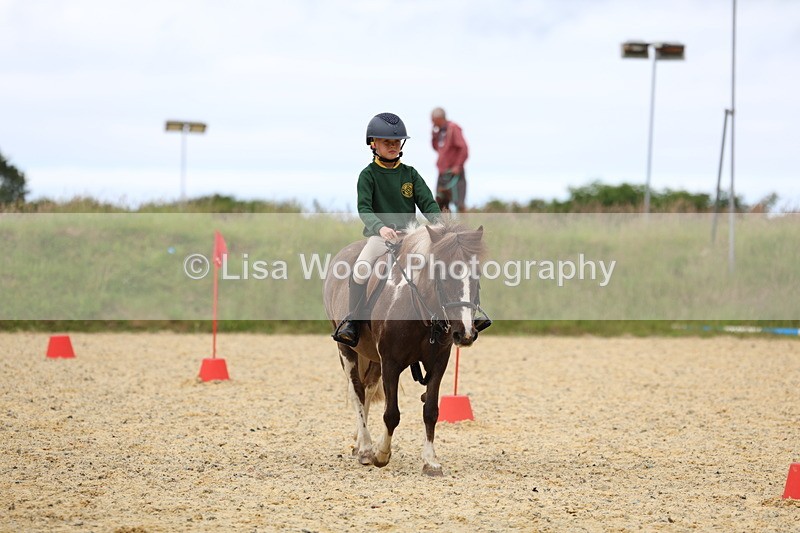 3E7A9569 - Walk trot run