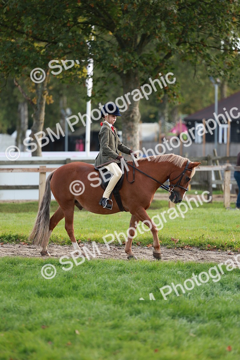 SBM_56283 - S39 - Starters In Hand Showing