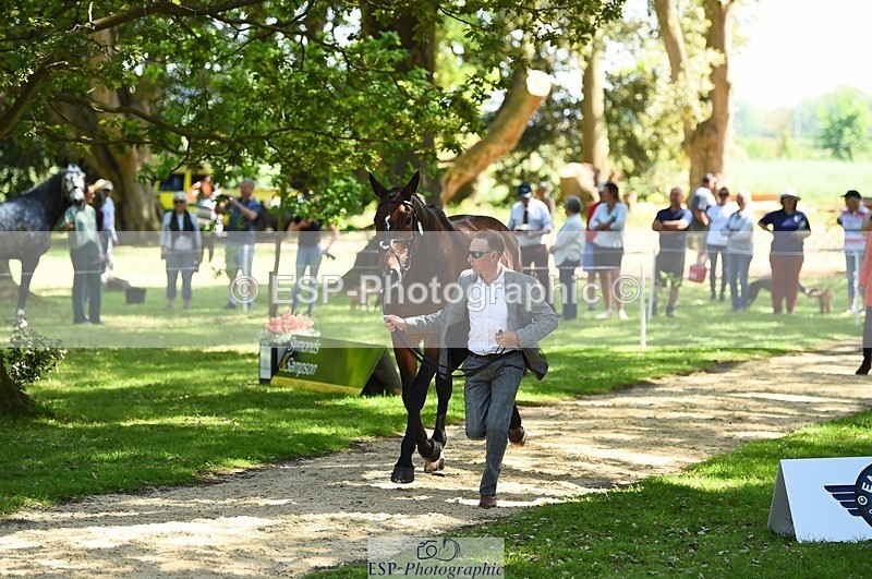 230524-151146-00117 - 354-TREWORDER-Michael_Owen-WEDTrotUp+DR